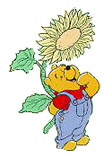 Wsunflower.gif (10280 bytes)